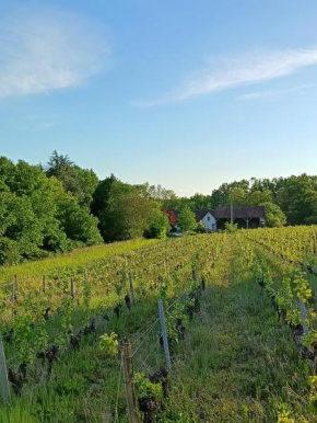 Gîte au coeur d'un vignoble